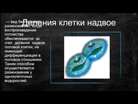 Деления клетки надвое — вид бесполового размножения, когда воспроизведение потомства обеспечивается за