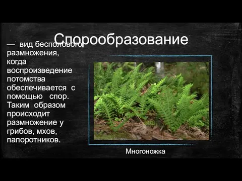 Спорообразование — вид бесполового размножения, когда воспроизведение потомства обеспечивается с помощью спор.