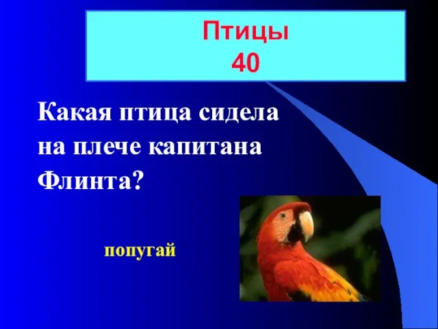 Какая птица сидела на плече капитана Флинта? Птицы 40 попугай