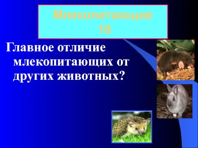 Главное отличие млекопитающих от других животных? Млекопитающие 10