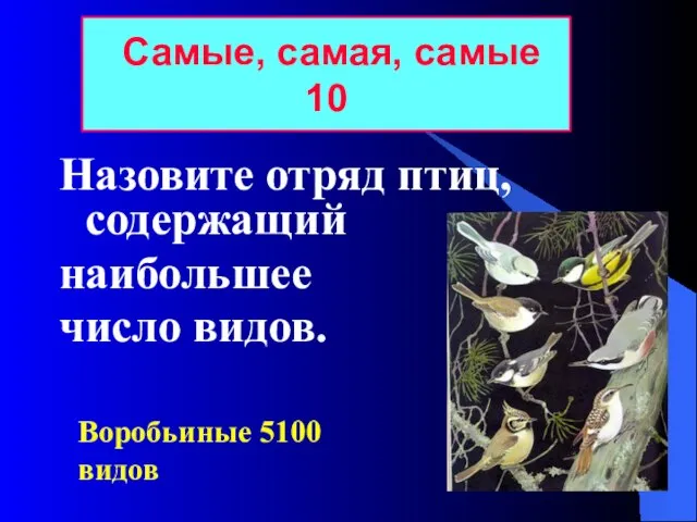 Самые, самая, самые 10 Воробьиные 5100 видов Назовите отряд птиц, содержащий наибольшее число видов.