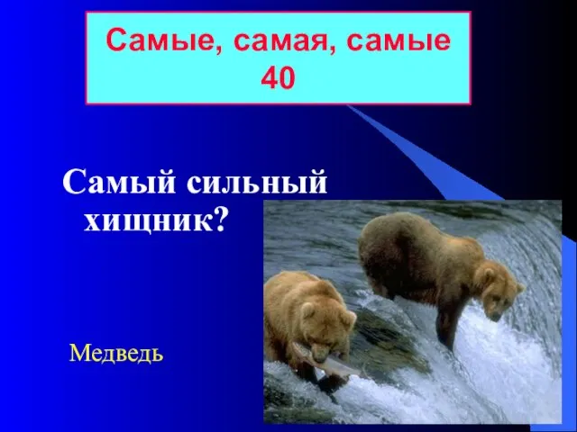 Самый сильный хищник? Самые, самая, самые 40 Медведь