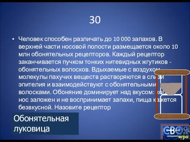 30 Человек способен различать до 10 000 запахов. В верхней части носовой