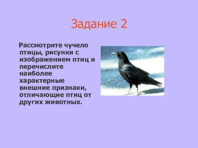 Задание 2 Рассмотрите чучело птицы, рисунки с изображением птиц и перечислите наиболее