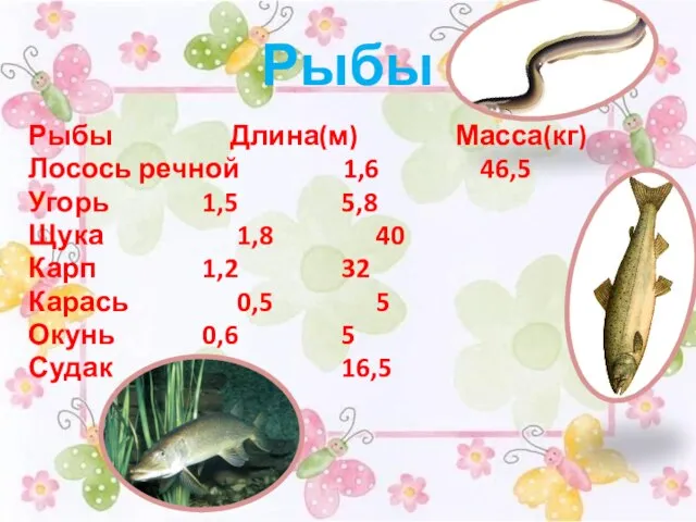 Рыбы Рыбы Длина(м) Масса(кг) Лосось речной 1,6 46,5 Угорь 1,5 5,8 Щука