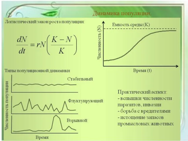 Динамика популяции.