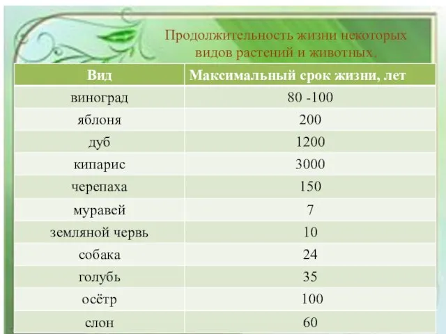 Продолжительность жизни некоторых видов растений и животных.