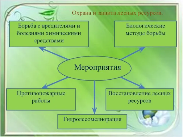 Охрана и защита лесных ресурсов. Борьба с вредителями и болезнями химическими средствами