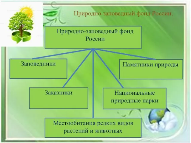 Природно-заповедный фонд России. Природно-заповедный фонд России Заповедники Памятники природы Заказники Национальные природные