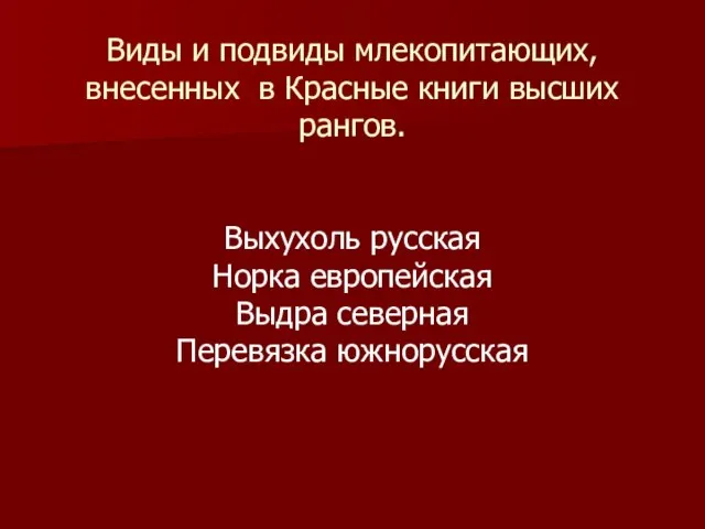 Виды и подвиды млекопитающих, внесенных в Красные книги высших рангов. Выхухоль русская