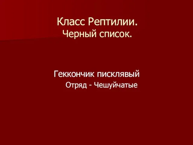 Класс Рептилии. Черный список. Геккончик писклявый Отряд - Чешуйчатые