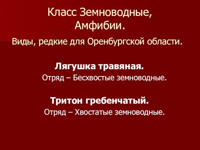 Класс Земноводные, Амфибии. Виды, редкие для Оренбургской области. Лягушка травяная. Отряд –