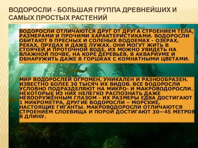 Водоросли - большая группа древнейших и самых простых растений ВОДОРОСЛИ ОТЛИЧАЮТСЯ ДРУГ