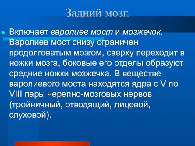 Задний мозг. Включает варолиев мост и мозжечок. Варолиев мост снизу ограничен продолговатым