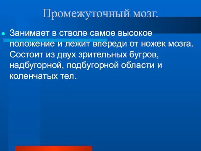 Промежуточный мозг. Занимает в стволе самое высокое положение и лежит впереди от