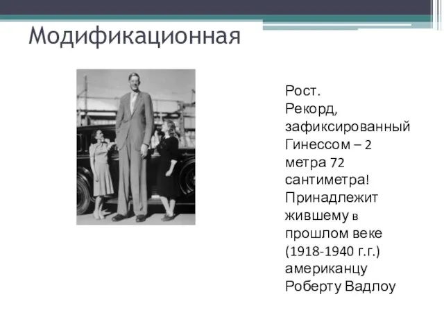 Модификационная Рост. Рекорд, зафиксированный Гинессом – 2 метра 72 сантиметра! Принадлежит жившему