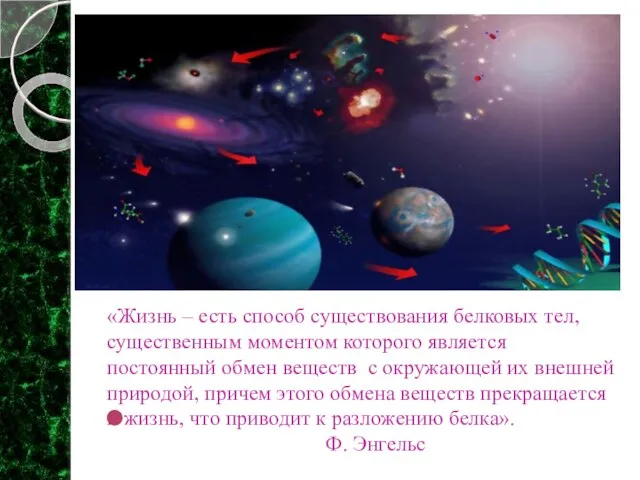 «Жизнь – есть способ существования белковых тел, существенным моментом которого является постоянный