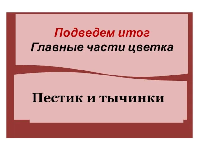 Подведем итог Главные части цветка