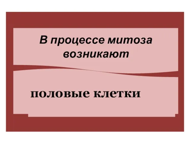 В процессе митоза возникают