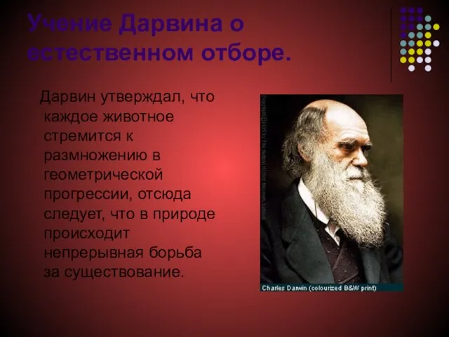 Учение Дарвина о естественном отборе. Дарвин утверждал, что каждое животное стремится к