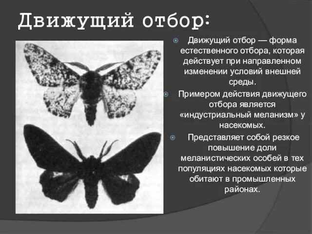 Движущий отбор: Движущий отбор — форма естественного отбора, которая действует при направленном