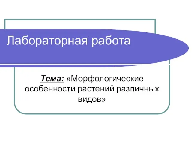 Презентация на тему Морфологические особенности растений различных видов