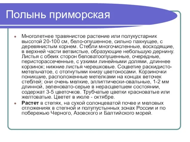 Полынь приморская Многолетнее травянистое растение или полукустарник высотой 20-100 см, бело-опушенное, сильно