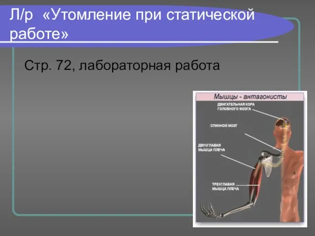 Л/р «Утомление при статической работе» Стр. 72, лабораторная работа