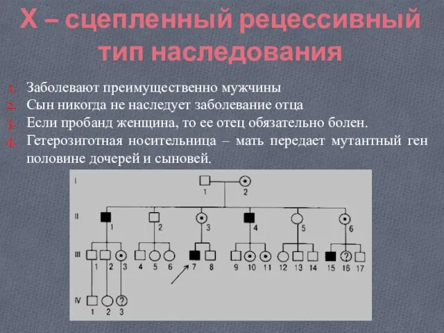 Х – сцепленный рецессивный тип наследования Заболевают преимущественно мужчины Сын никогда не