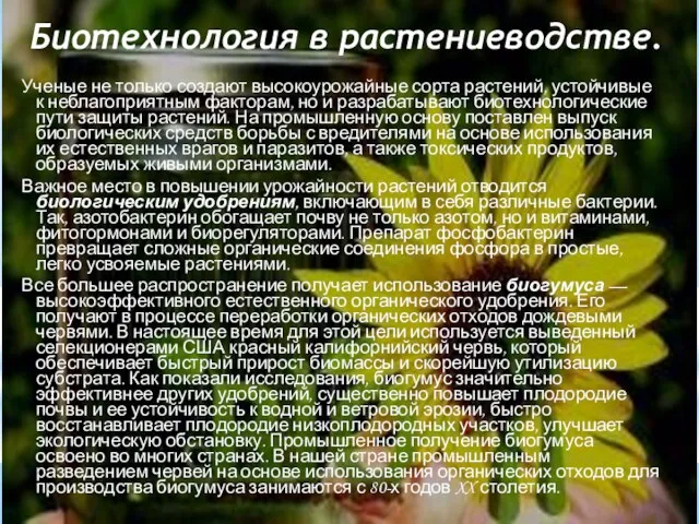 Биотехнология в растениеводстве. Ученые не только создают высокоурожайные сорта растений, устойчивые к