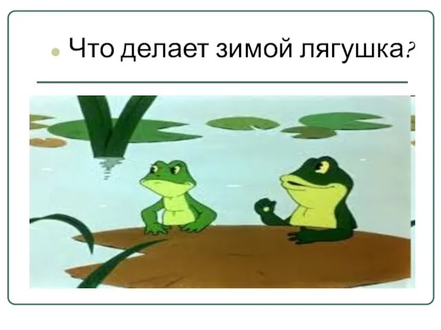 Что делает зимой лягушка?