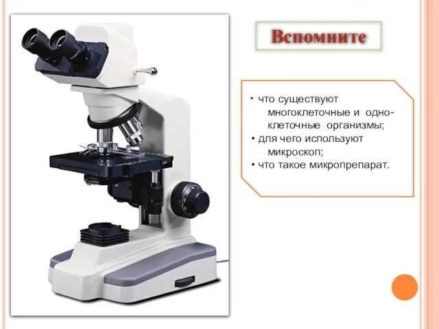 Вспомните что существуют многоклеточные и одно- клеточные организмы; для чего используют микроскоп; что такое микропрепарат.