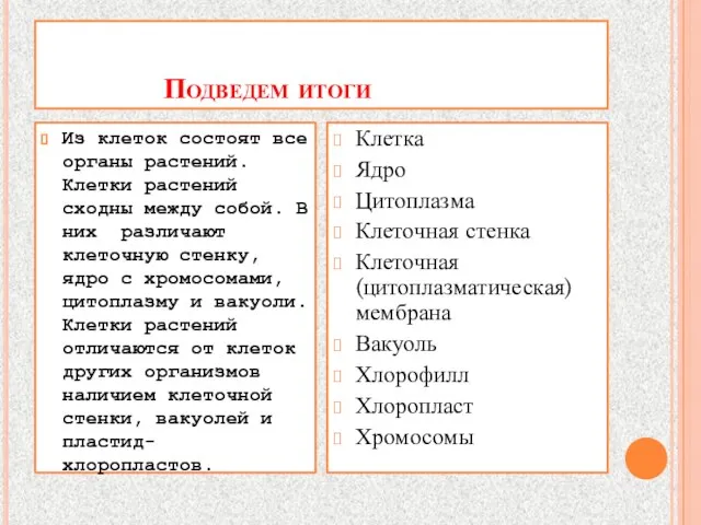 Подведем итоги Из клеток состоят все органы растений. Клетки растений сходны между