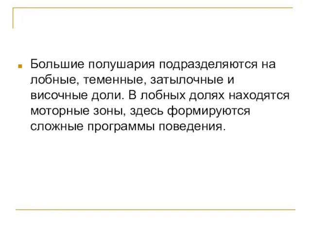 Большие полушария подразделяются на лобные, теменные, затылочные и височные доли. В лобных