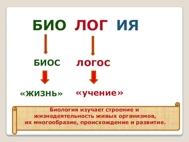 БИО ЛОГ ИЯ биос «жизнь» логос «учение» Биология изучает строение и жизнедеятельность