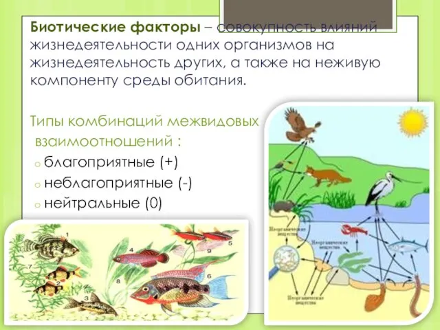 Биотические факторы – совокупность влияний жизнедеятельности одних организмов на жизнедеятельность других, а