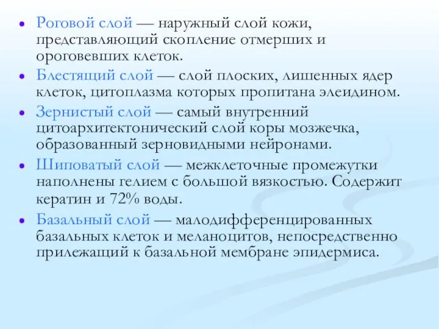 Роговой слой — наружный слой кожи, представляющий скопление отмерших и ороговевших клеток.