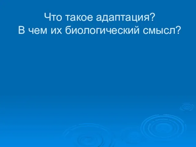 Что такое адаптация? В чем их биологический смысл?