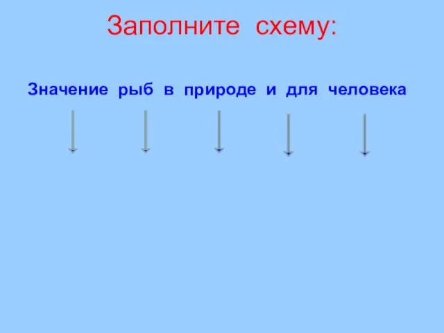 Заполните схему: Значение рыб в природе и для человека