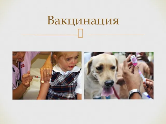 Вакцинация