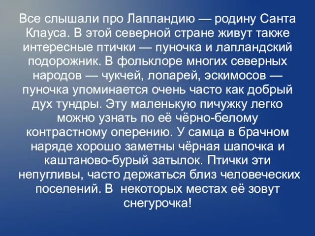 Все слышали про Лапландию — родину Санта Клауса. В этой северной стране