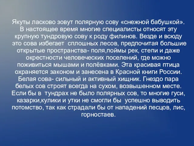 Якуты ласково зовут полярную сову «снежной бабушкой». В настоящее время многие специалисты