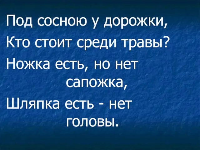 Под сосною у дорожки, Кто стоит среди травы? Ножка есть, но нет