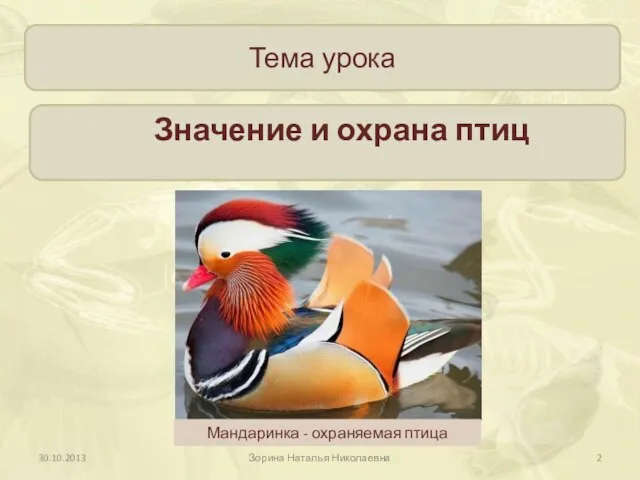 Тема урока Мандаринка - охраняемая птица Зорина Наталья Николаевна