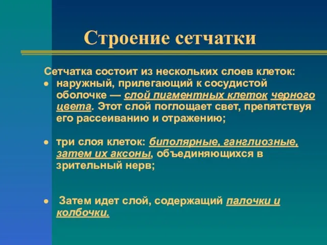 Строение сетчатки Сетчатка состоит из нескольких слоев клеток: наружный, прилегающий к сосудистой