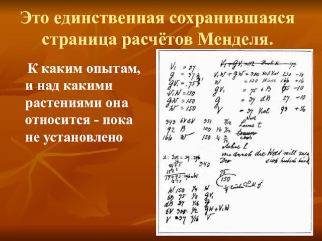 Это единственная сохранившаяся страница расчётов Менделя. К каким опытам, и над какими