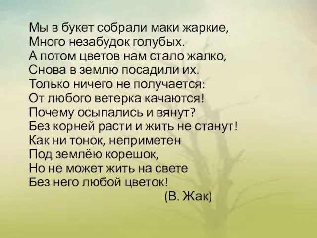 Мы в букет собрали маки жаркие, Много незабудок голубых. А потом цветов