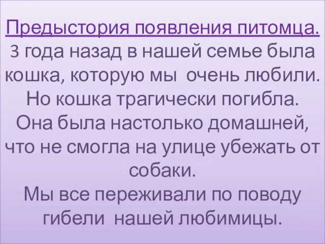 Предыстория появления питомца. 3 года назад в нашей семье была кошка, которую