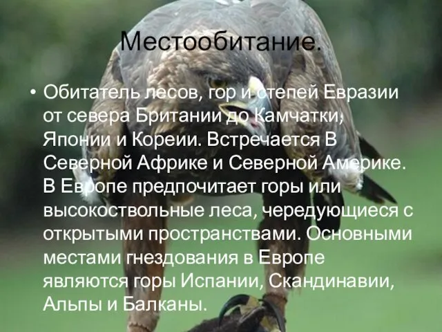 Местообитание. Обитатель лесов, гор и степей Евразии от севера Британии до Камчатки,