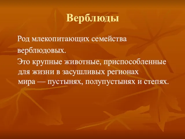 Верблюды Род млекопитающих семейства верблюдовых. Это крупные животные, приспособленные для жизни в